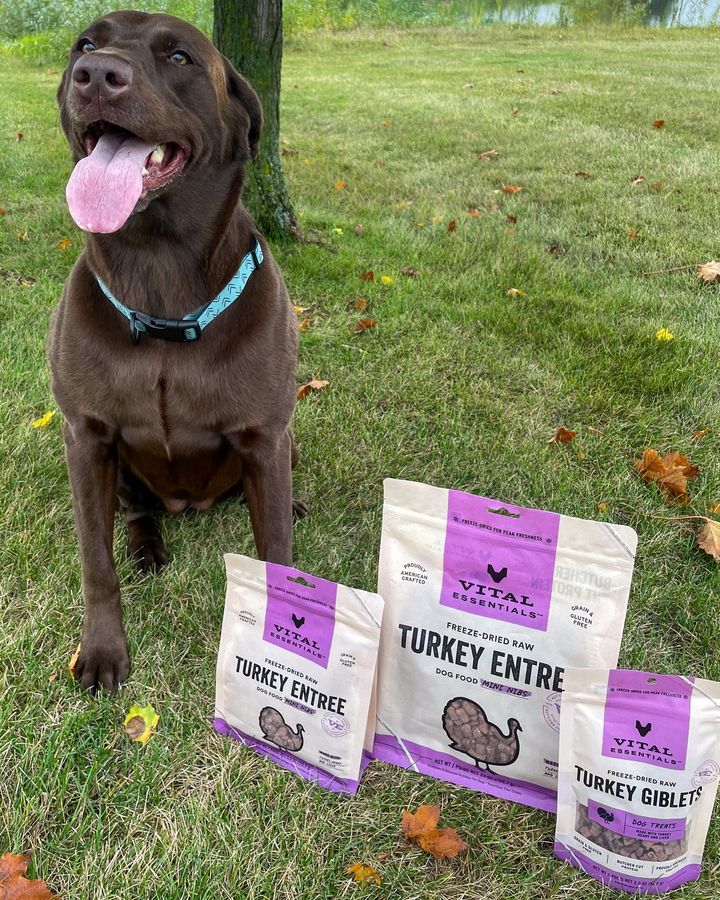 Vital Essentials - Freeze Dried Raw Dog Food - Turkey Mini Nibs