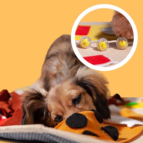 Premium Snuffle Mat - High-Calorie Meal