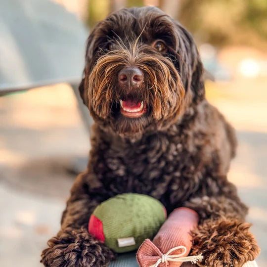 Olive + Salami