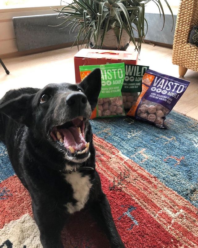 Frozen Raw Dog Food - Vaisto Green (Beef, Pork & Chicken)