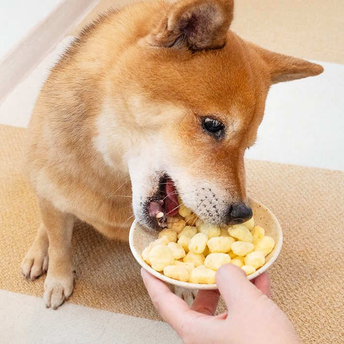 Cheese Ball