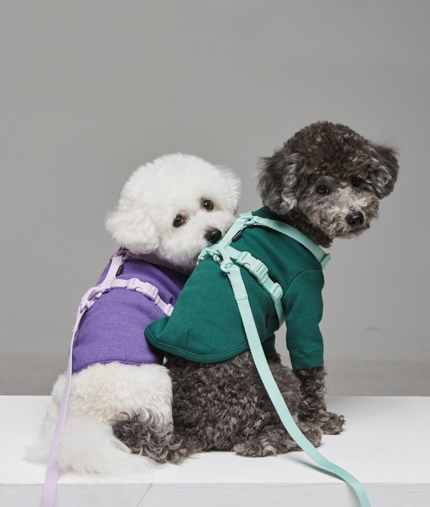 Macaron Pet Harness