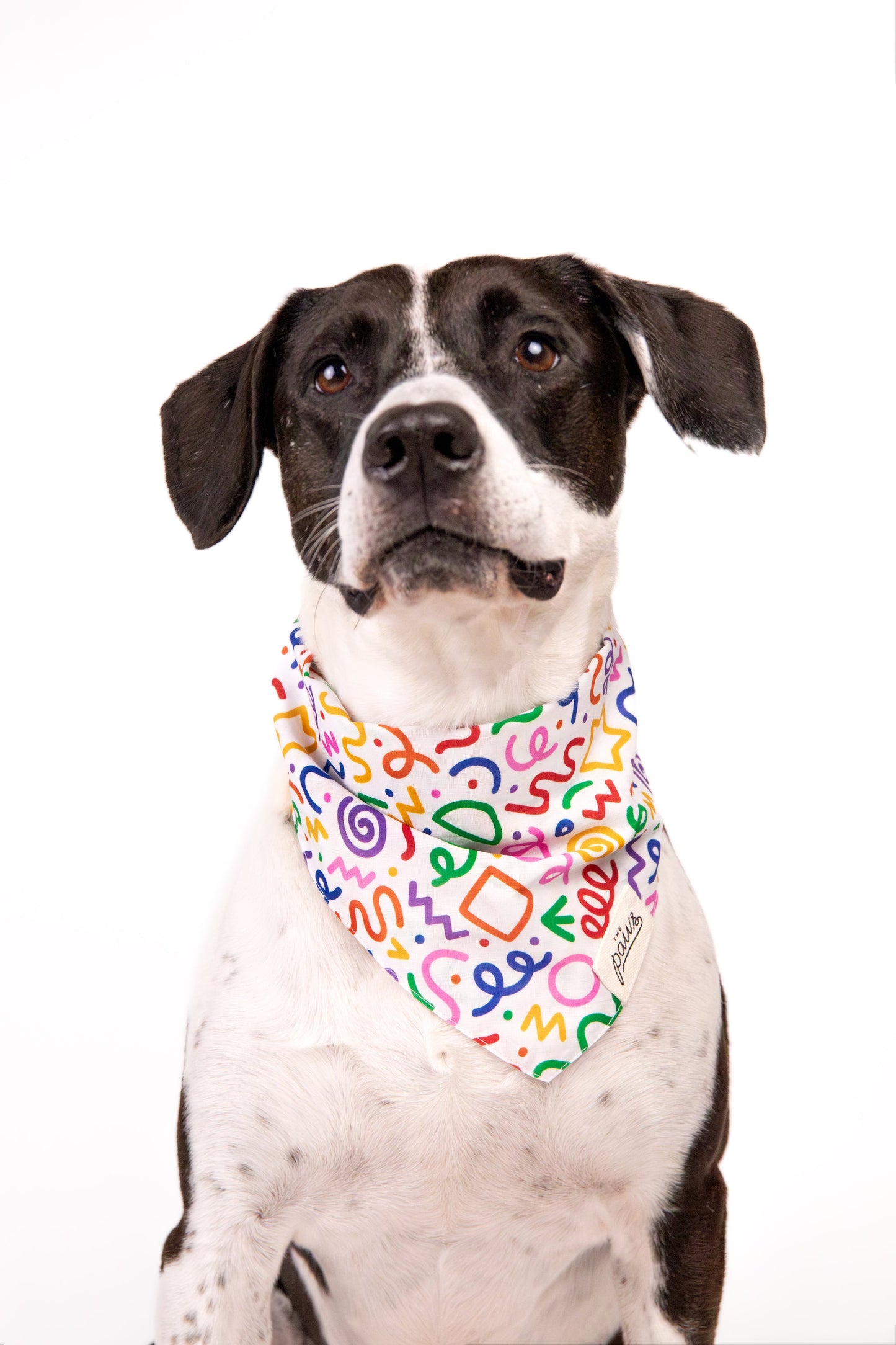 Bandanas - Fun