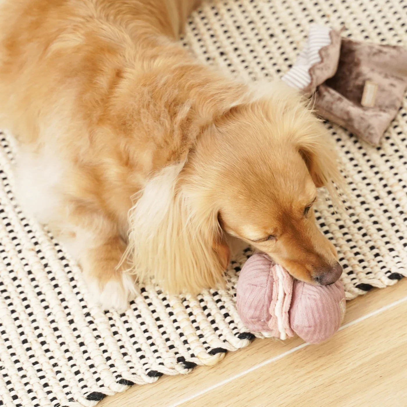 PETITE TWO MACAROON + MADELINE Snuffle Set Toy