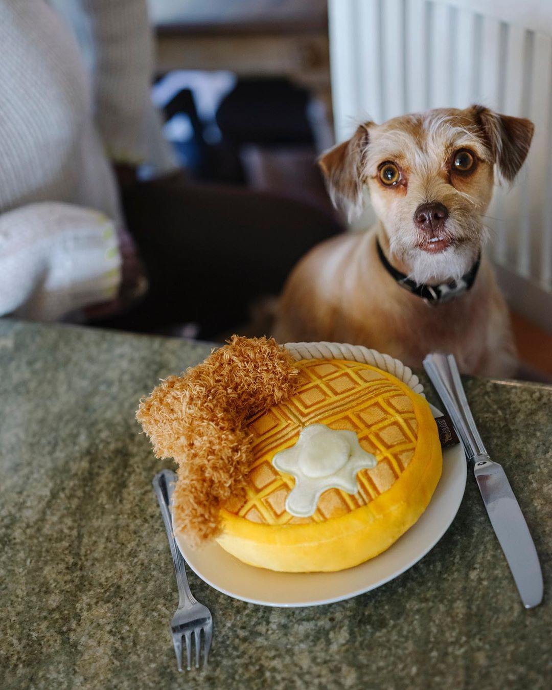 Dog Plush Toy - Barking Brunch Collection
