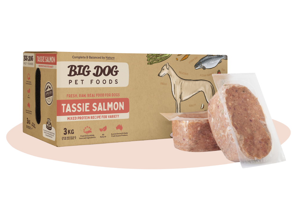 Frozen Raw Dog Food - Tassie Salmon