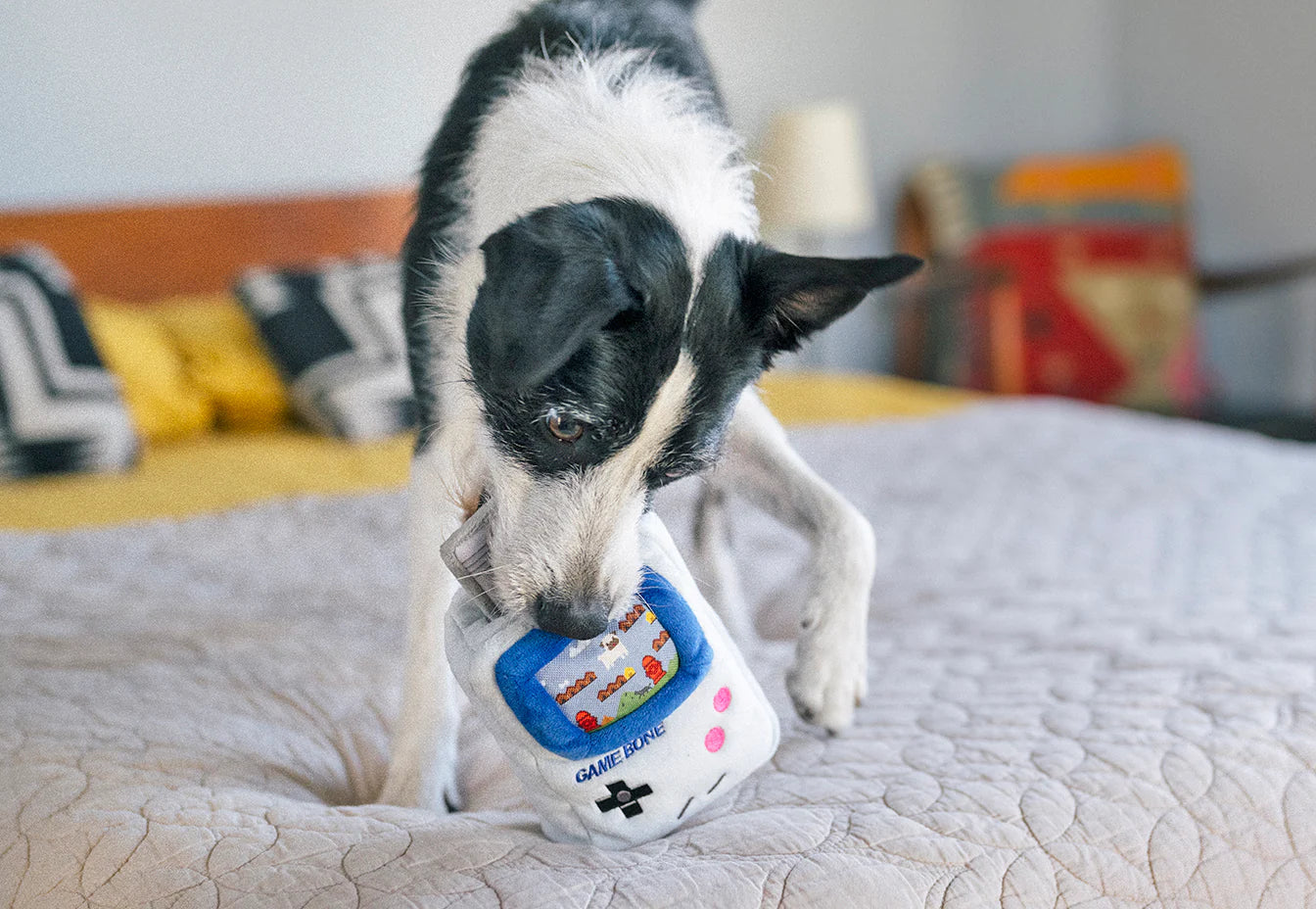 Dog Plush Toy - 90s Classic - Game Bone