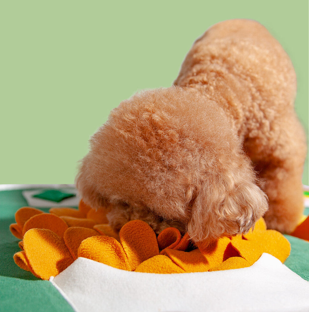 Premium Snuffle Mat - HK Style Cafe