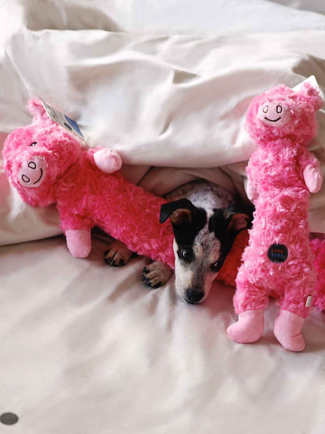 Farm Animal Long Toys