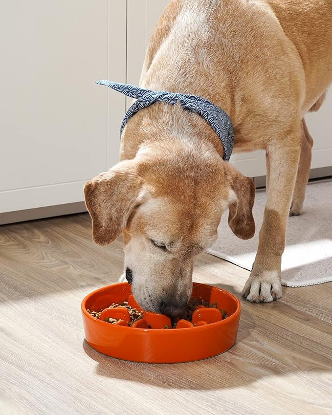 Ceramic Slow Feeder - Orange Sun