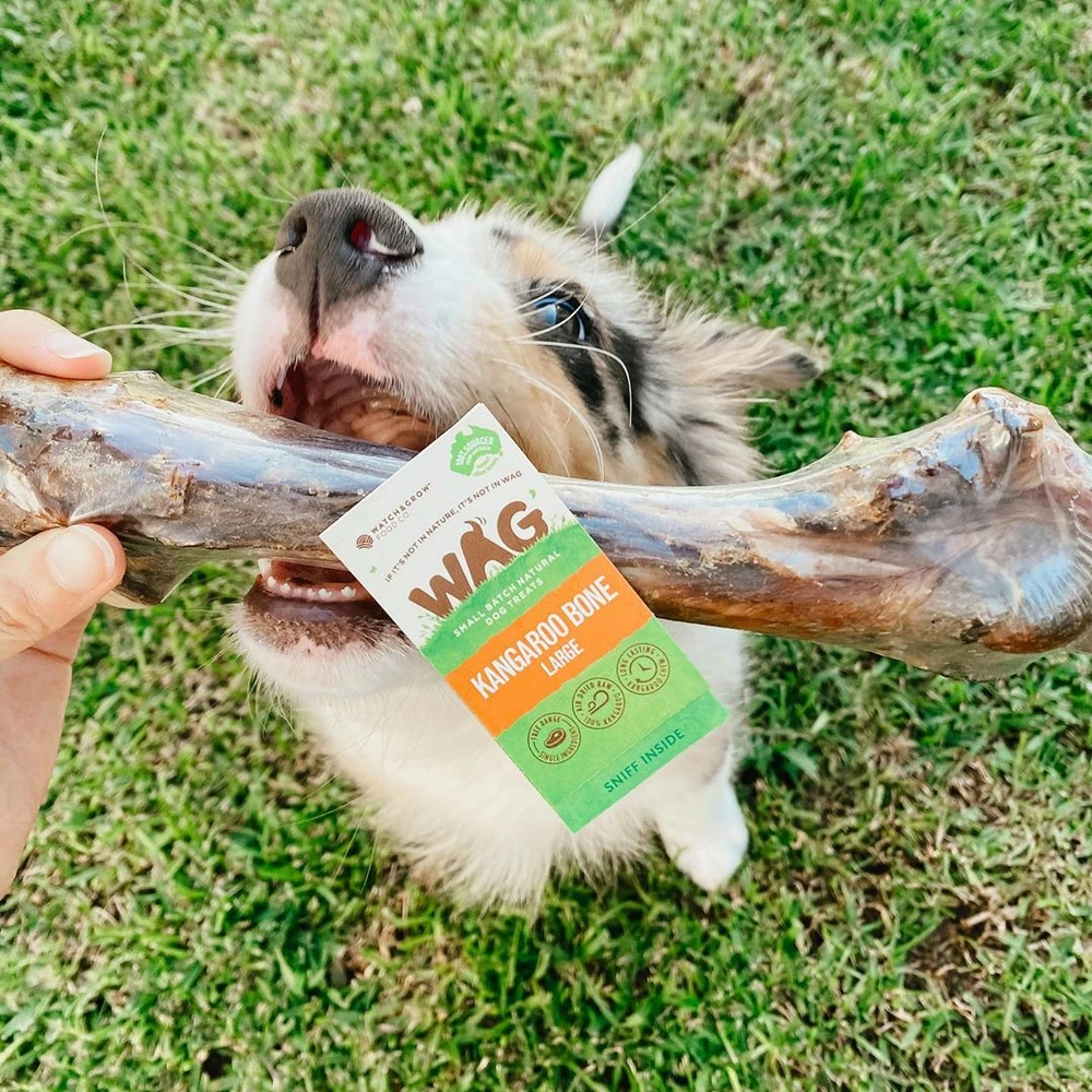 Kangaroo Large Bone