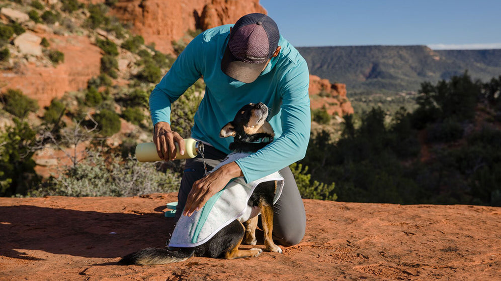 Swamp Cooler™ Cooling Pet Vest