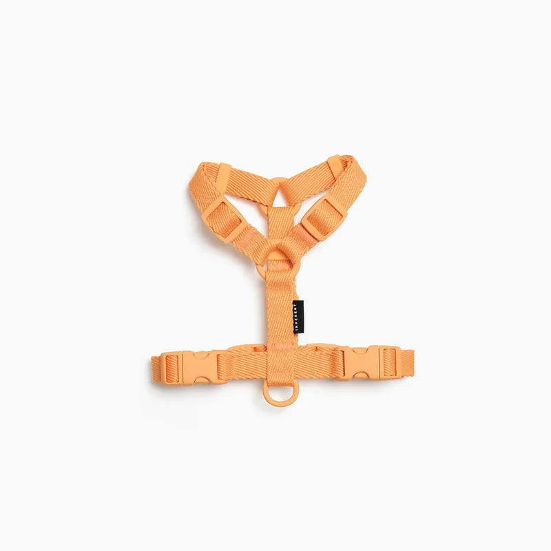 Macaron Pet Harness