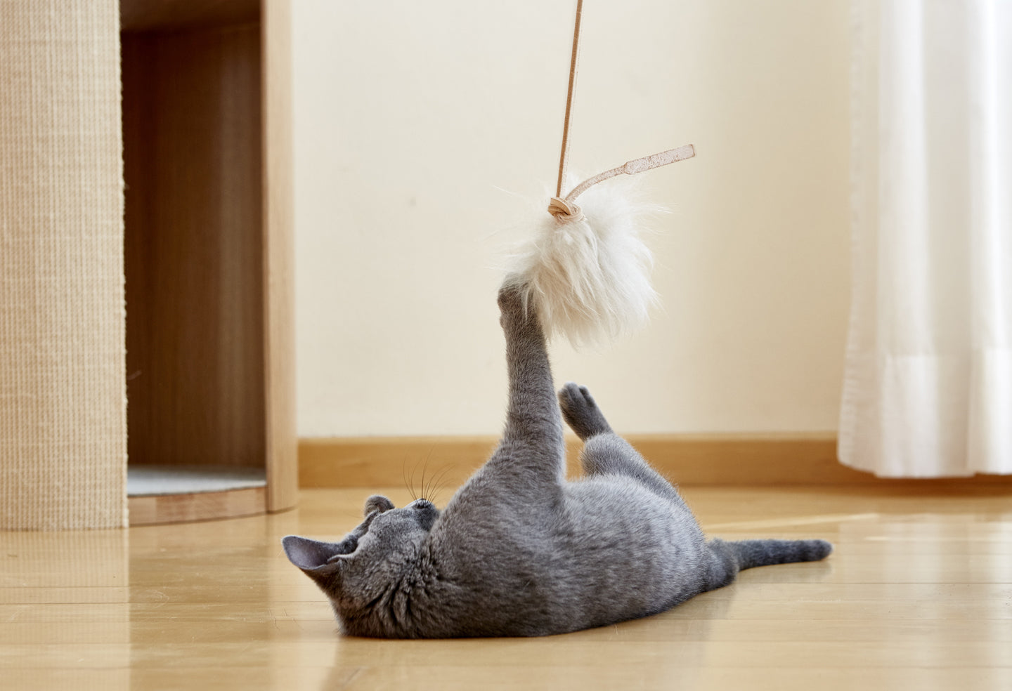 Topo Cat Toy