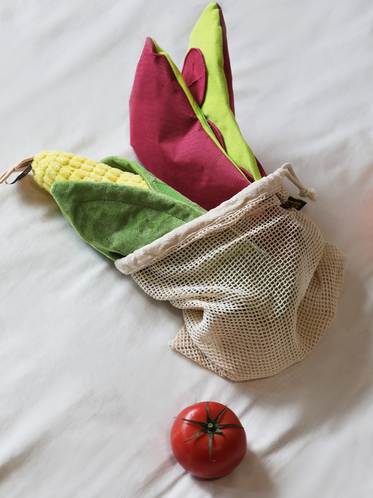 Veggie Snuffle Toy