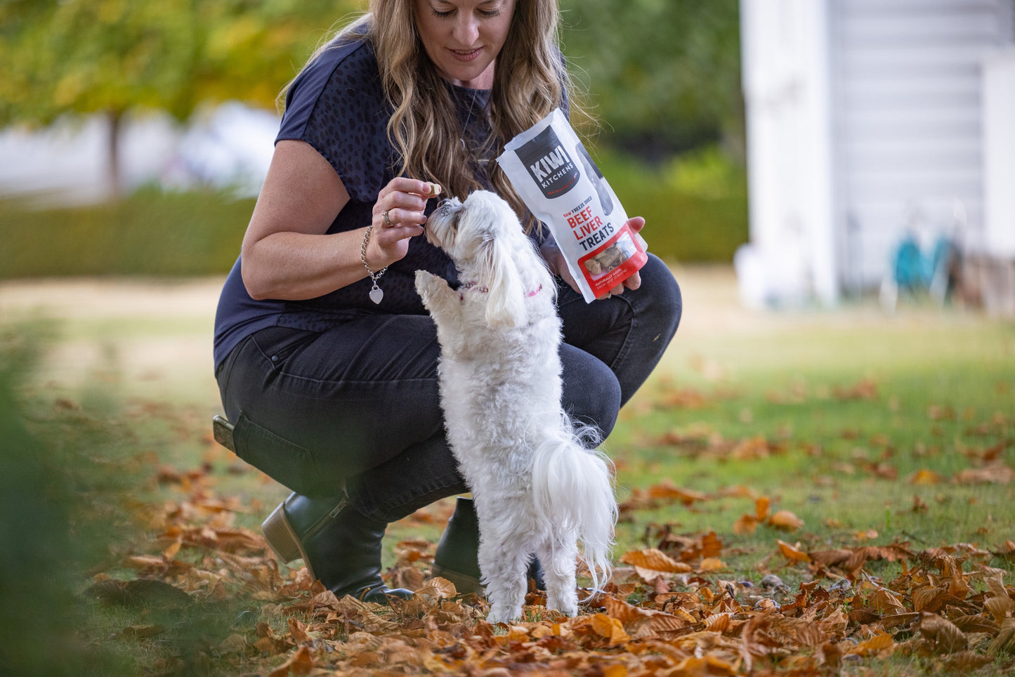 Kiwi Kitchens Raw Freeze Dried Dog Treats - Beef Liver