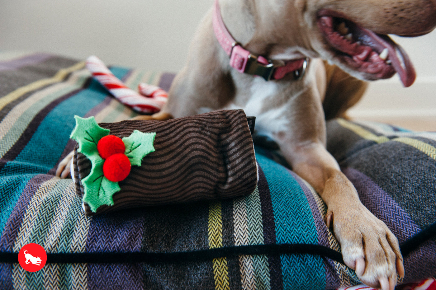 Dog Plush Toy - Holiday Classic Collection