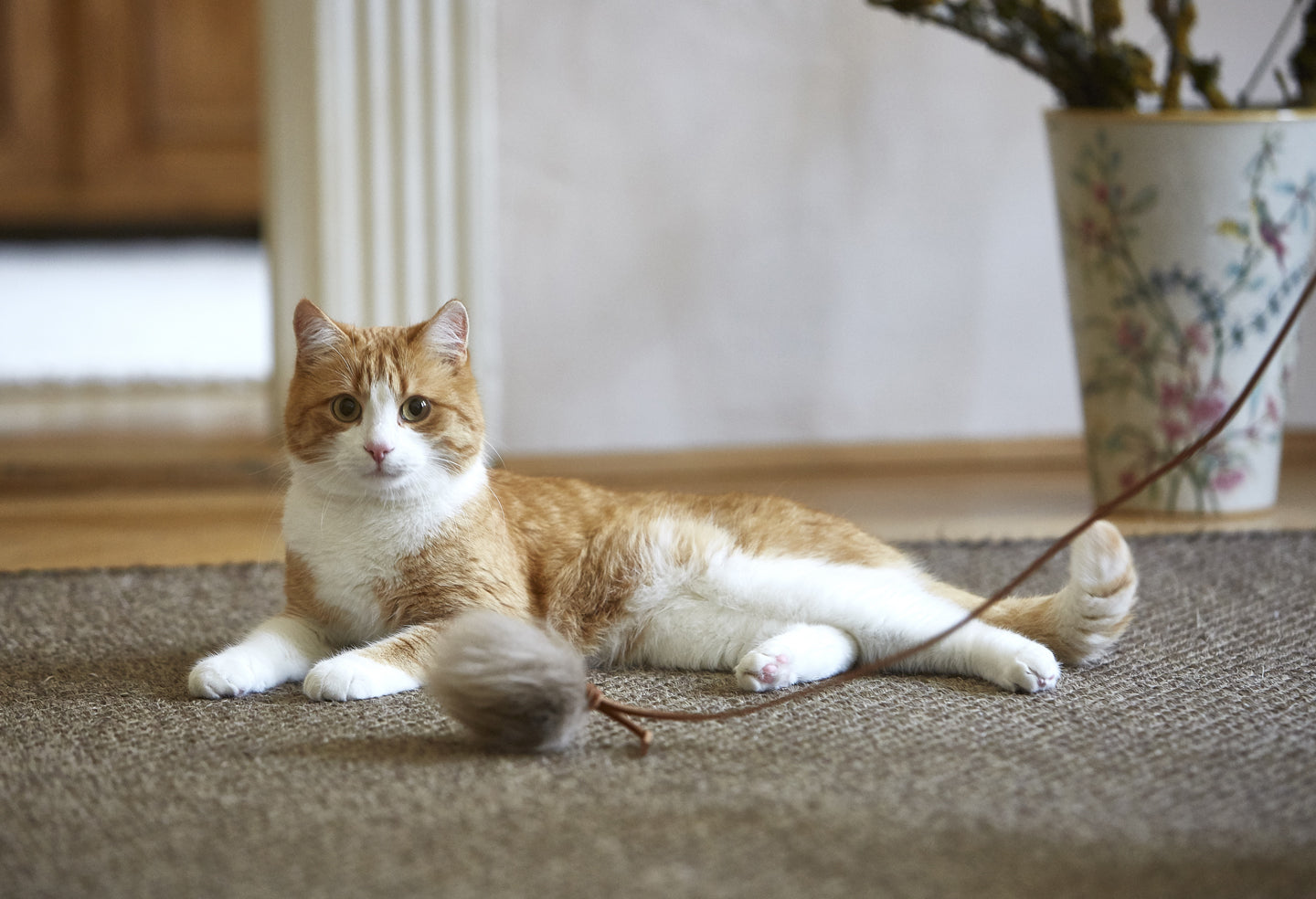 Topo Cat Toy