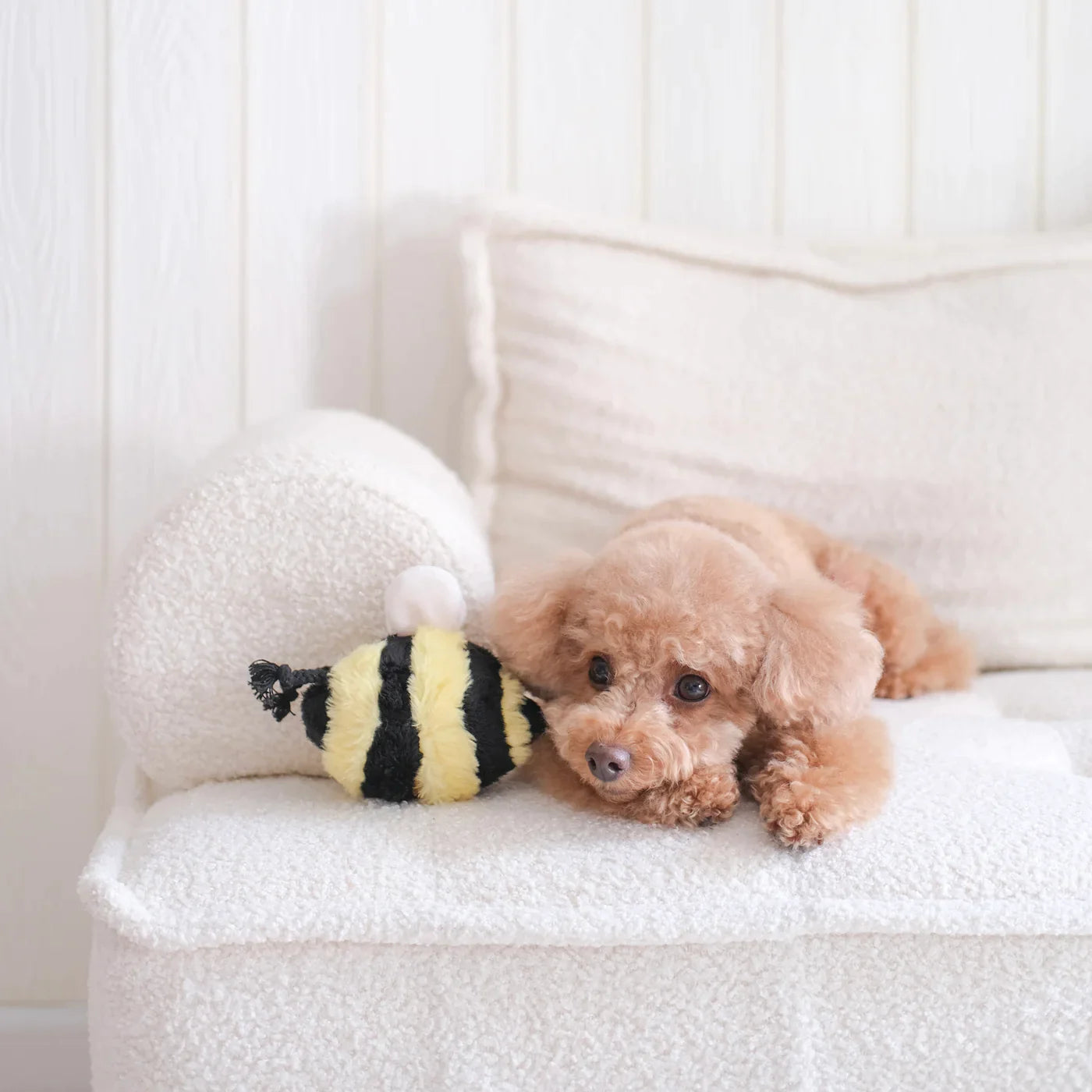 Bee Bug POP