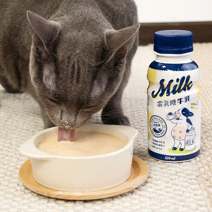 Lactose-Free Milk