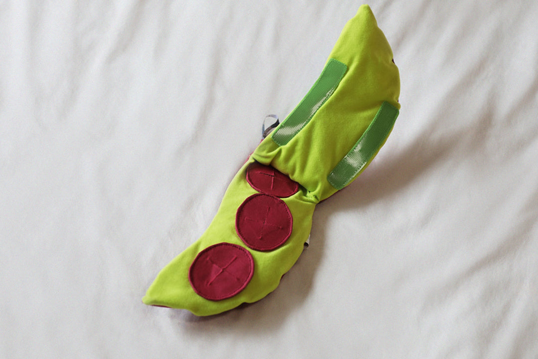 Veggie Snuffle Toy