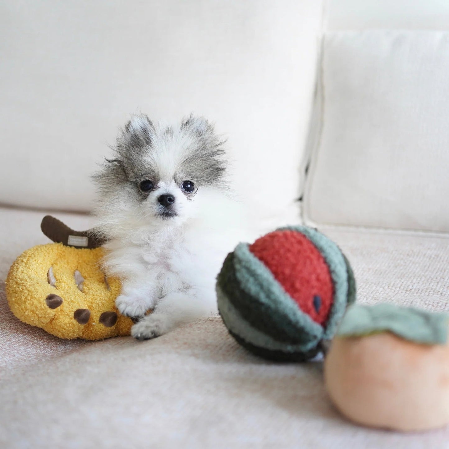 Watermelon POP - Bouncy + Snuffle Toy