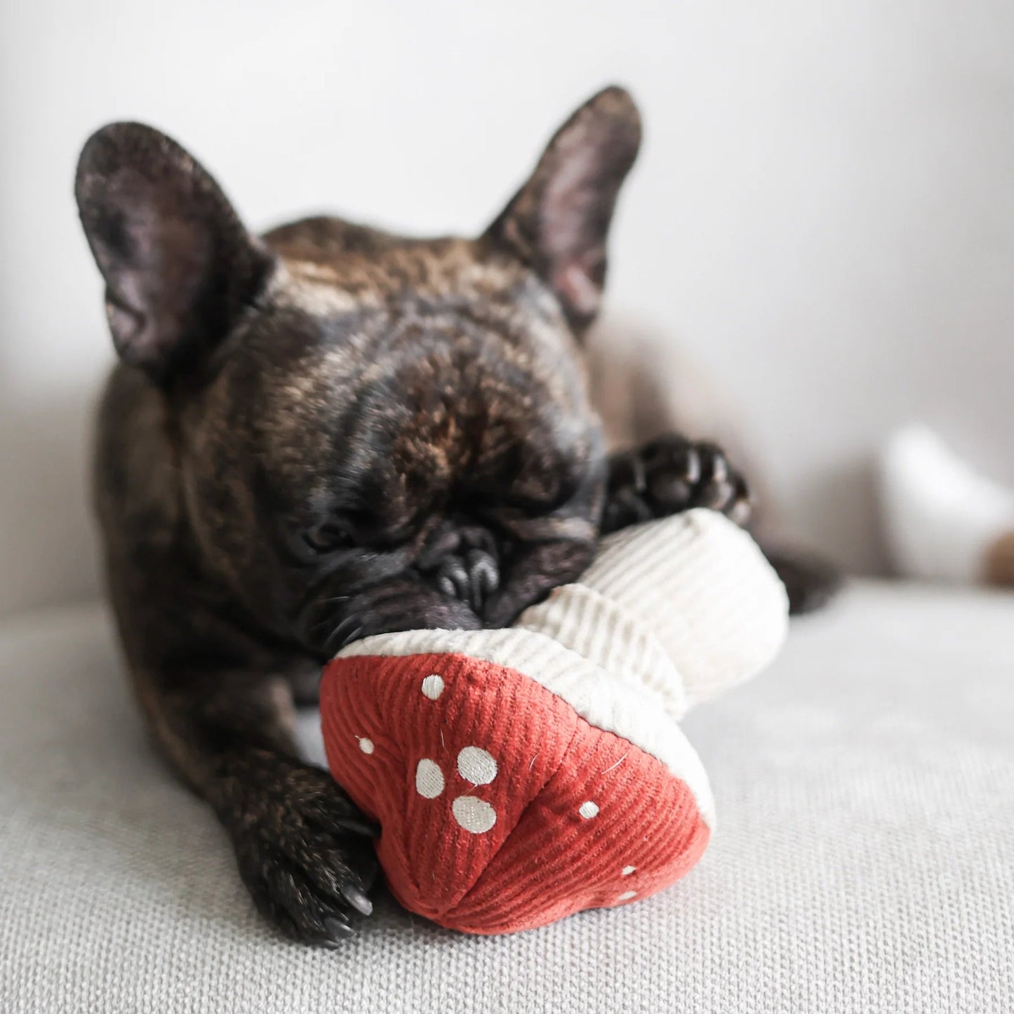 SHROOM - Snuffle Mushroom Toy