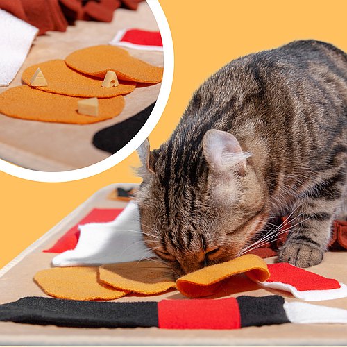 Premium Snuffle Mat - High-Calorie Meal