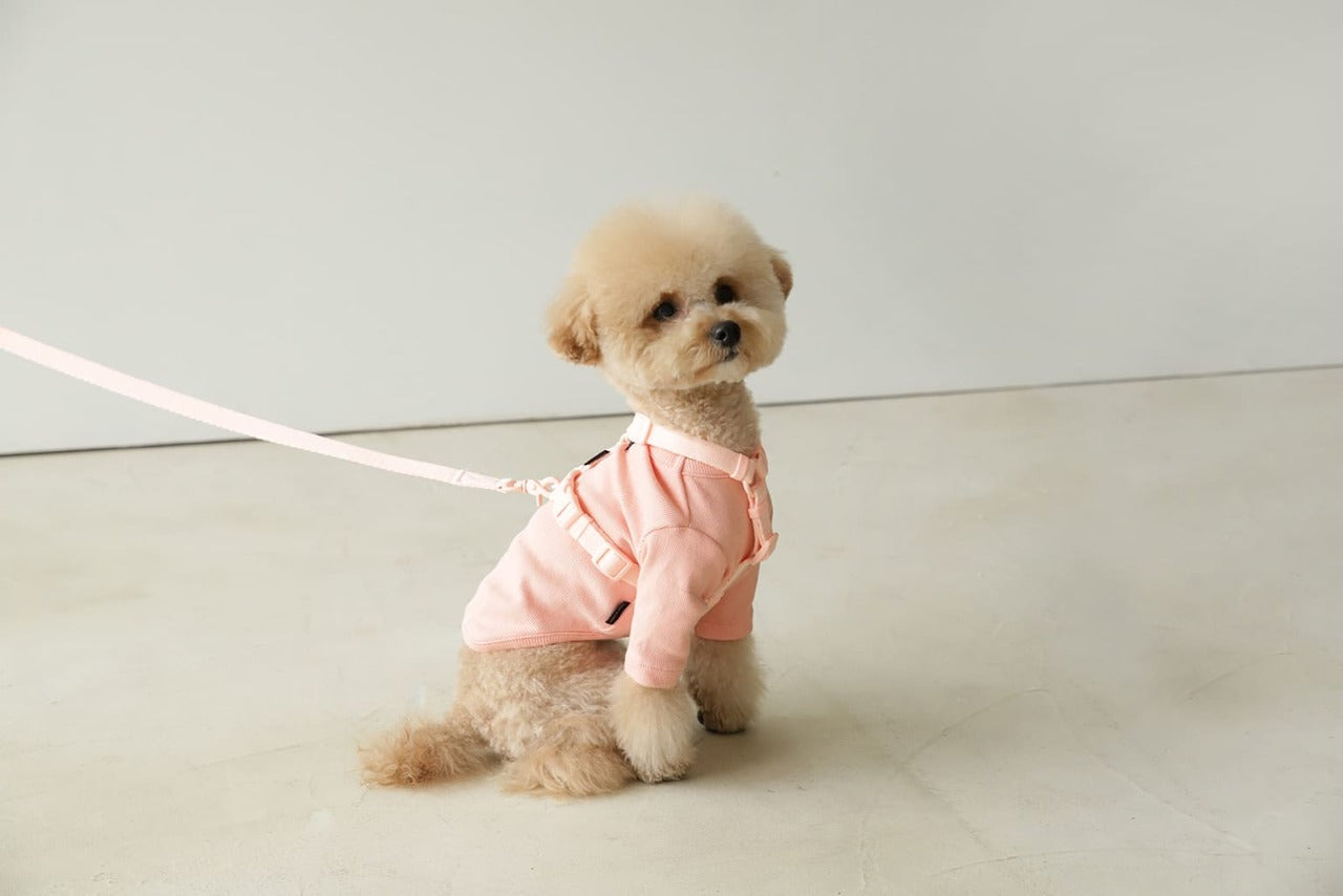 Macaron Pet Harness