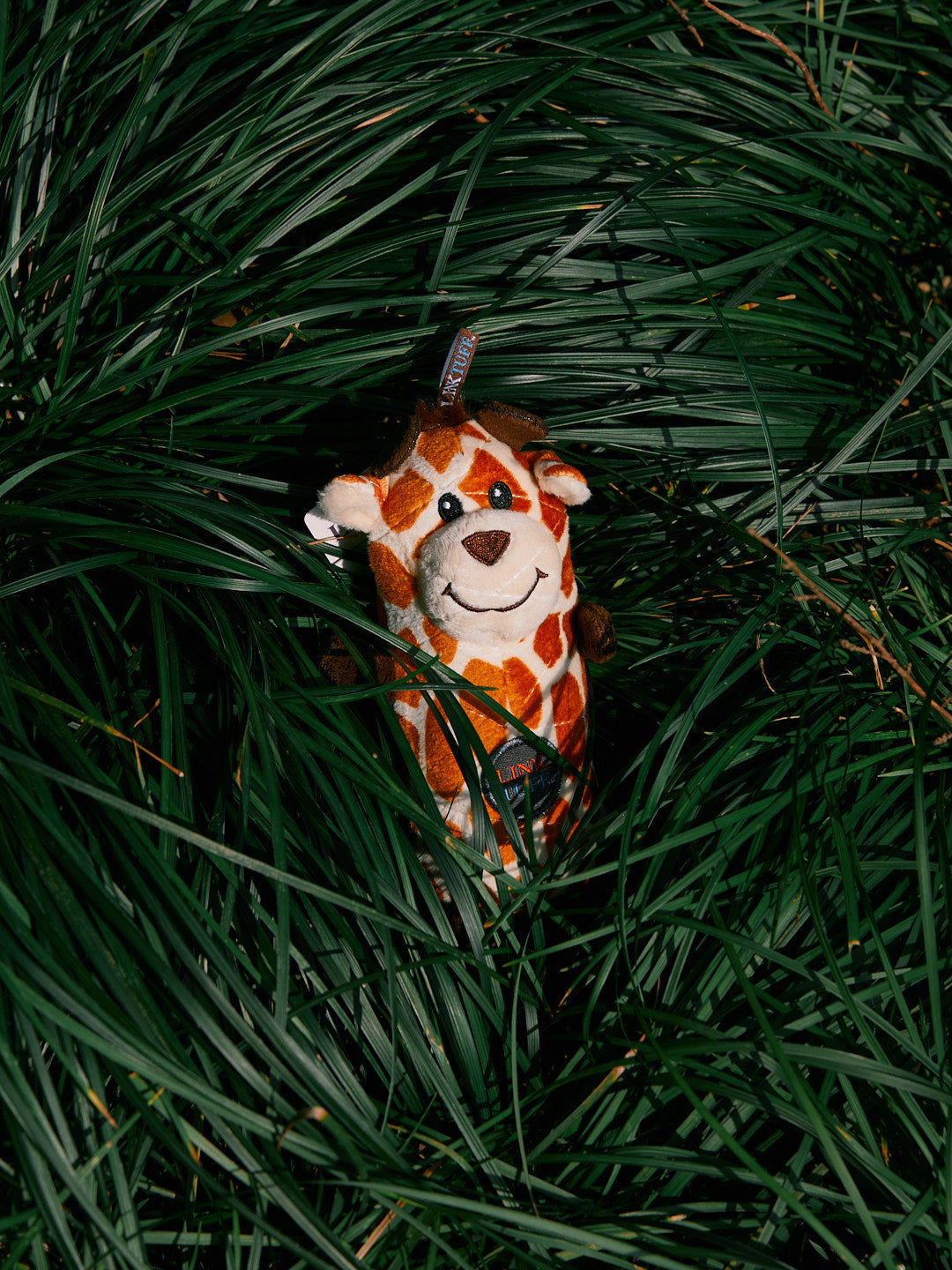 Animal Babies Bottle Toy