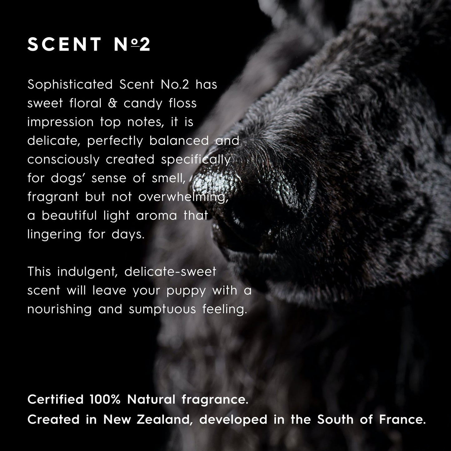 Puppy Cologne