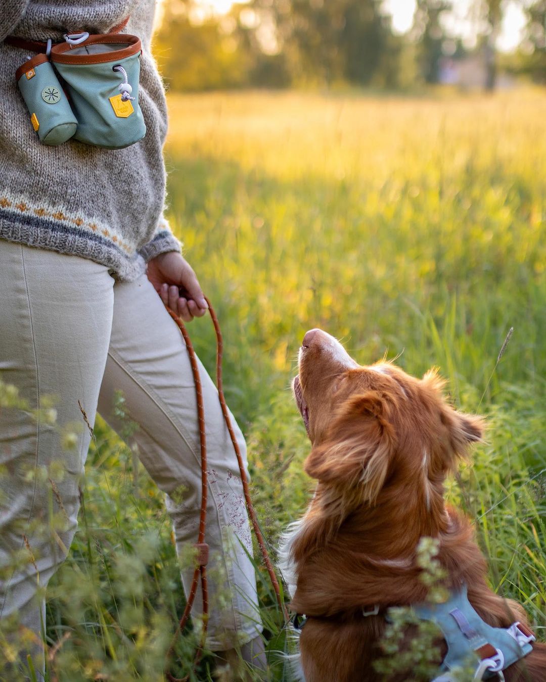 Alpha 360 Poop Bag Holder