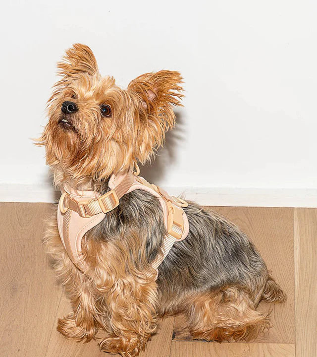 Comfort Pet Harness - SALE