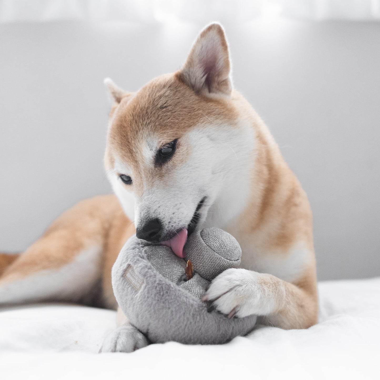 Guu - Snuffle Mushroom Toy