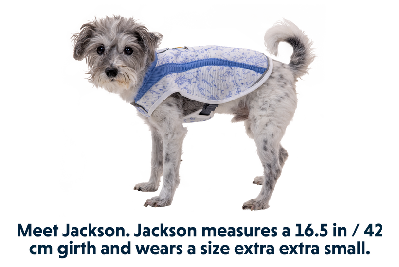 Swamp Cooler™ Cooling Pet Vest
