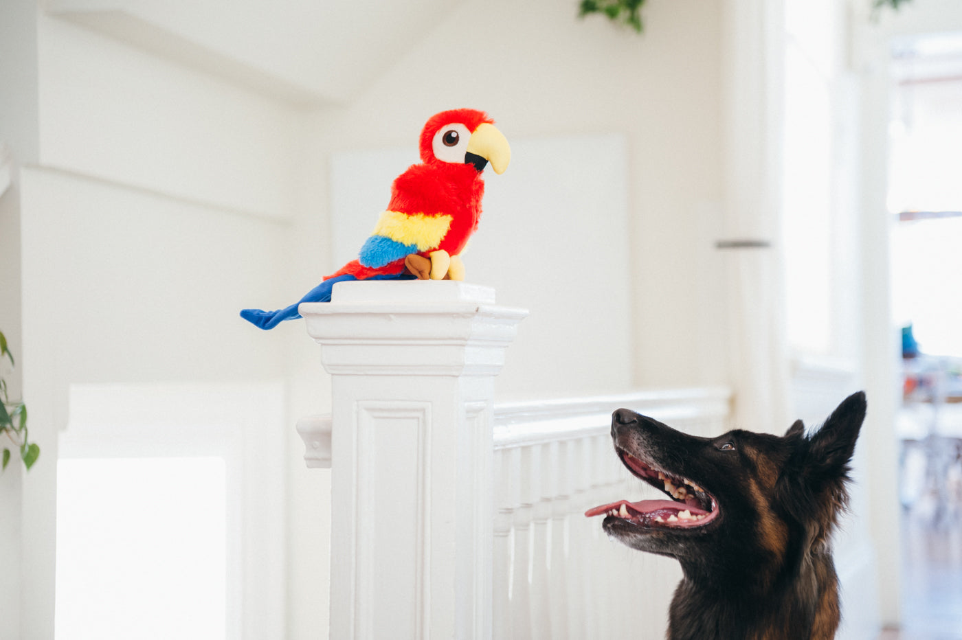 Dog Plush Toy - Fetching Flock Collection