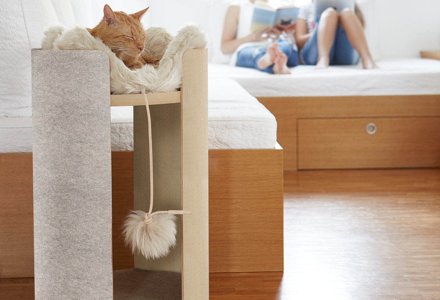 Topo Cat Toy