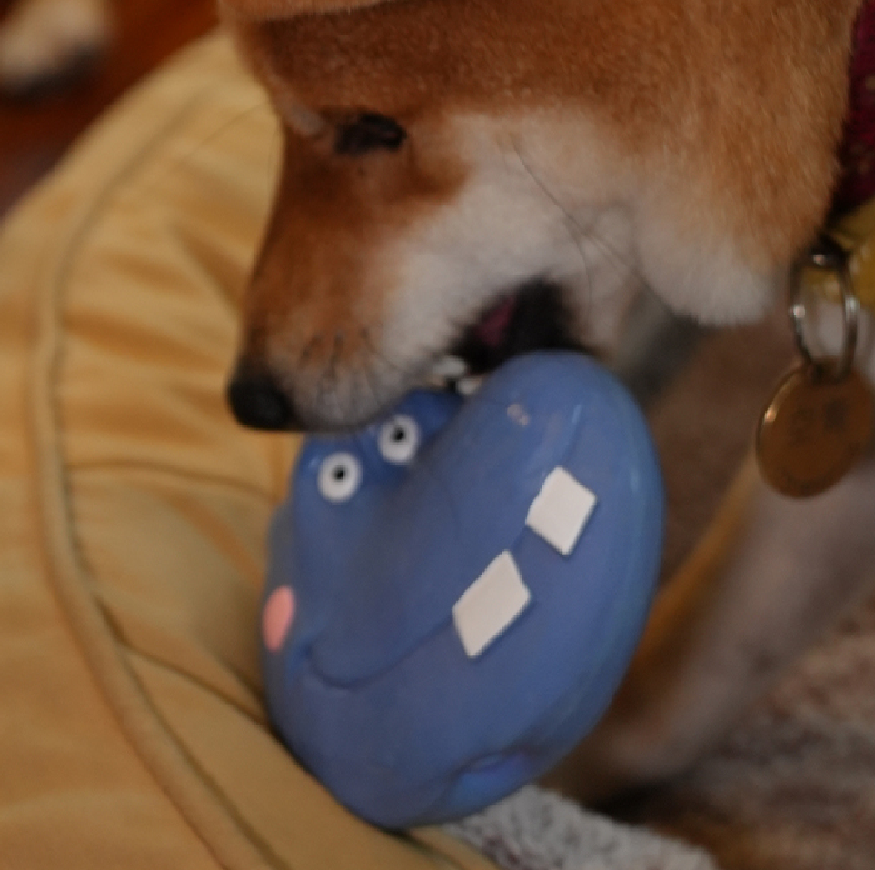 Hippo Latex Dog Toy