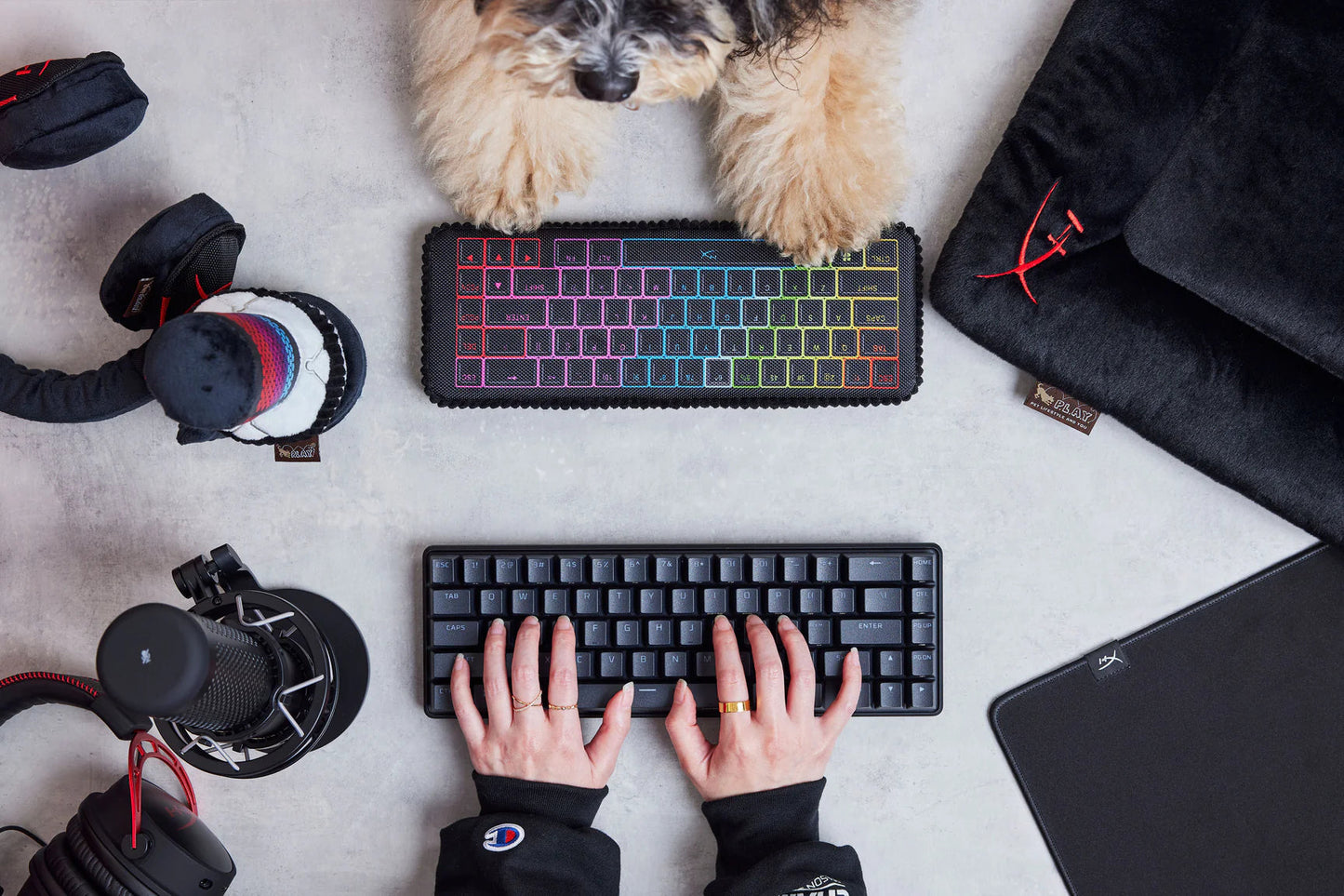 Dog Plush Toy - P.L.A.Y. x HyperX - Keyboard