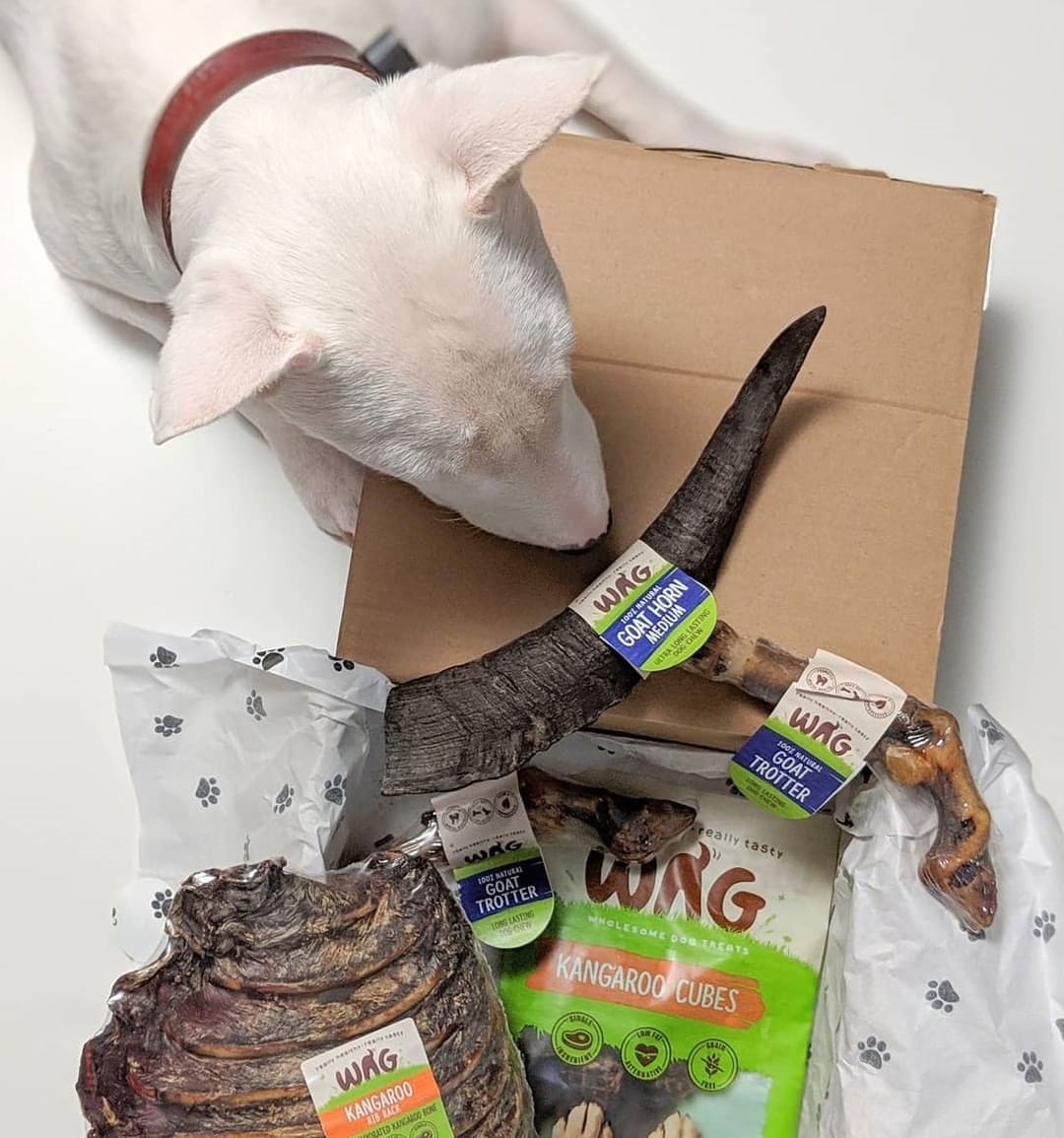 Kangaroo Rib Rack