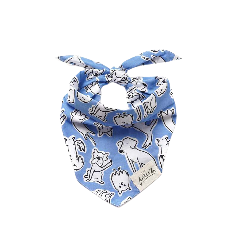 Bandanas - Walks
