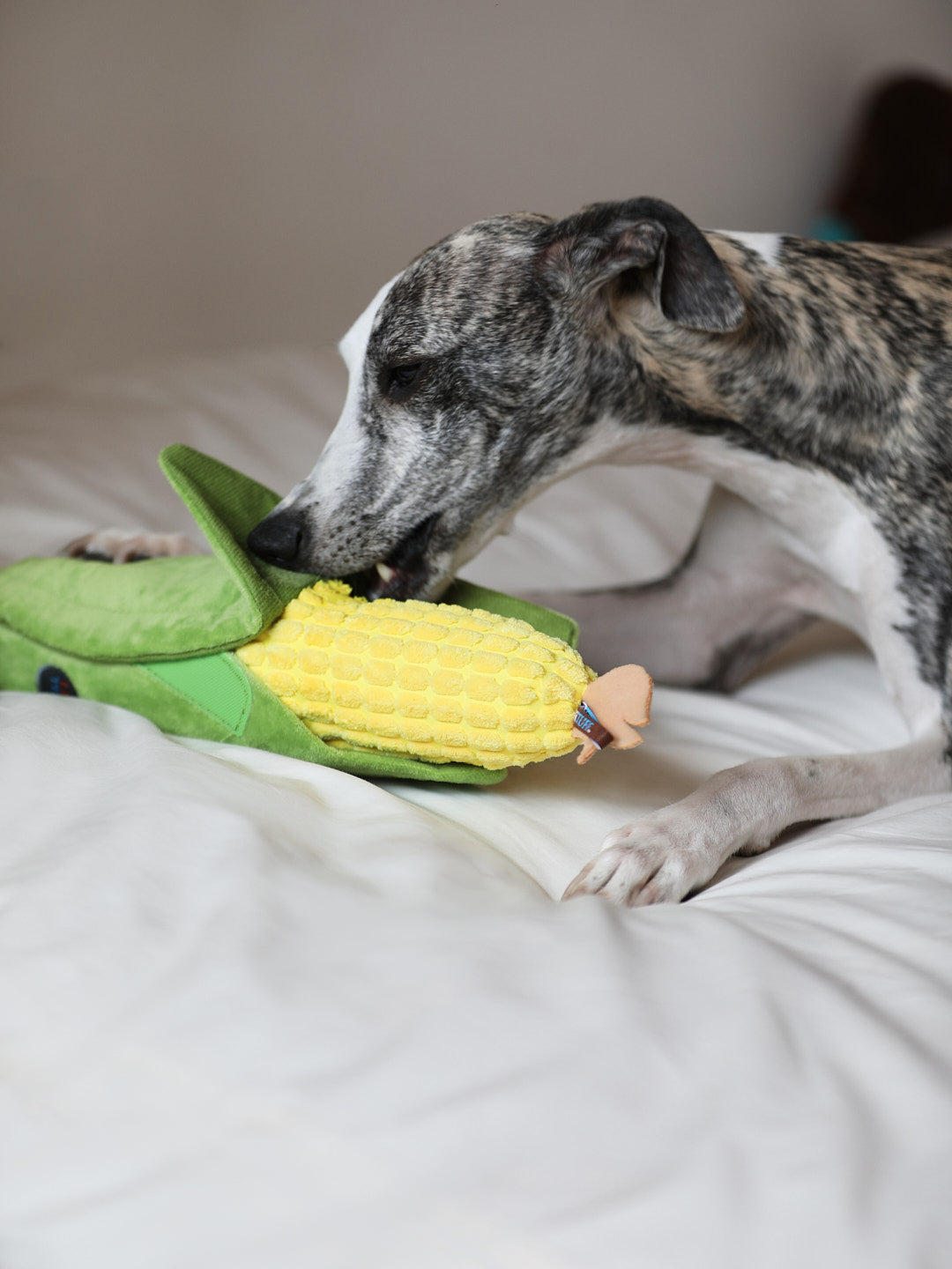 Veggie Snuffle Toy