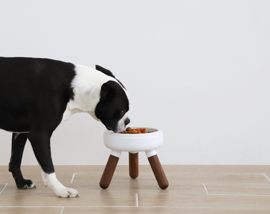 Pet Bowl - Oreo Table 2