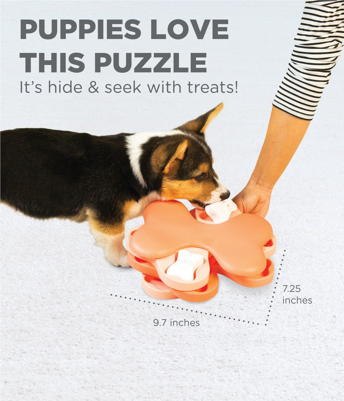 DOG PUZZLE GAME - DOG TORNADO