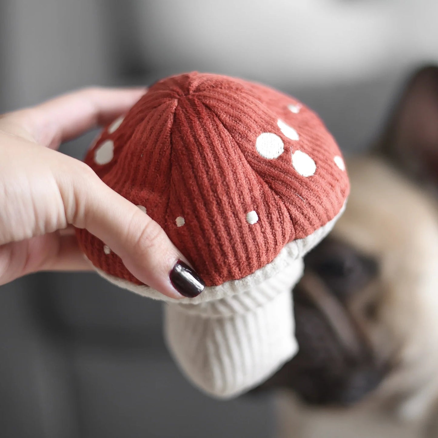 SHROOM - Snuffle Mushroom Toy
