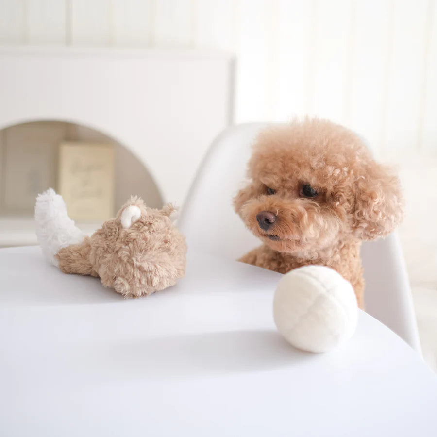 Fox POP - Squeaky + Bouncy Toy