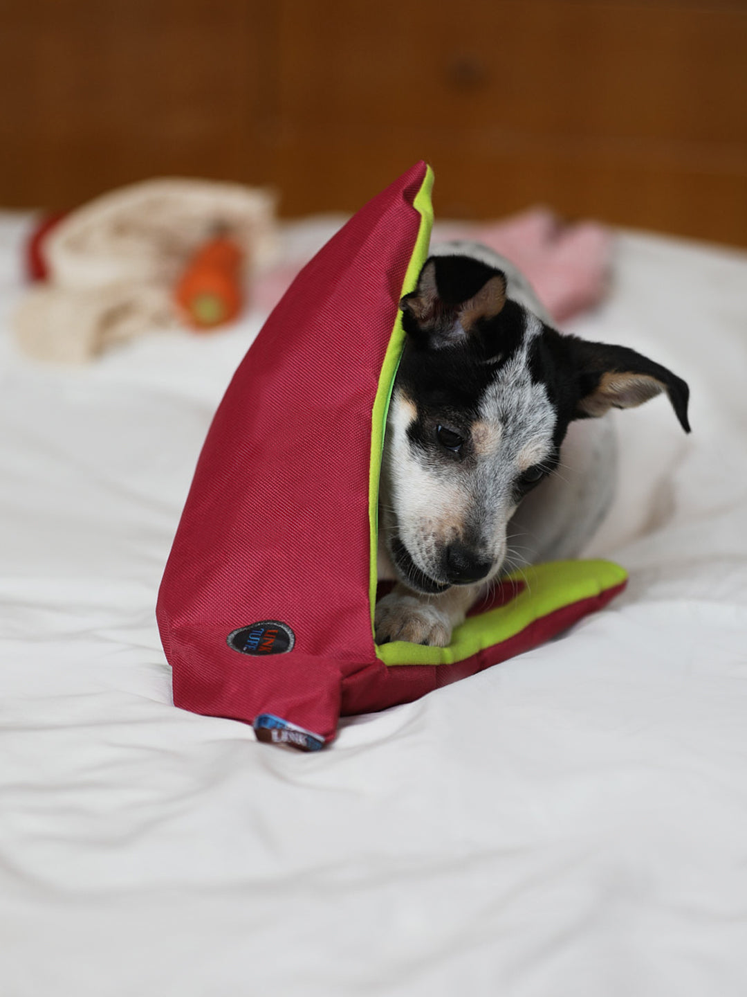Veggie Snuffle Toy