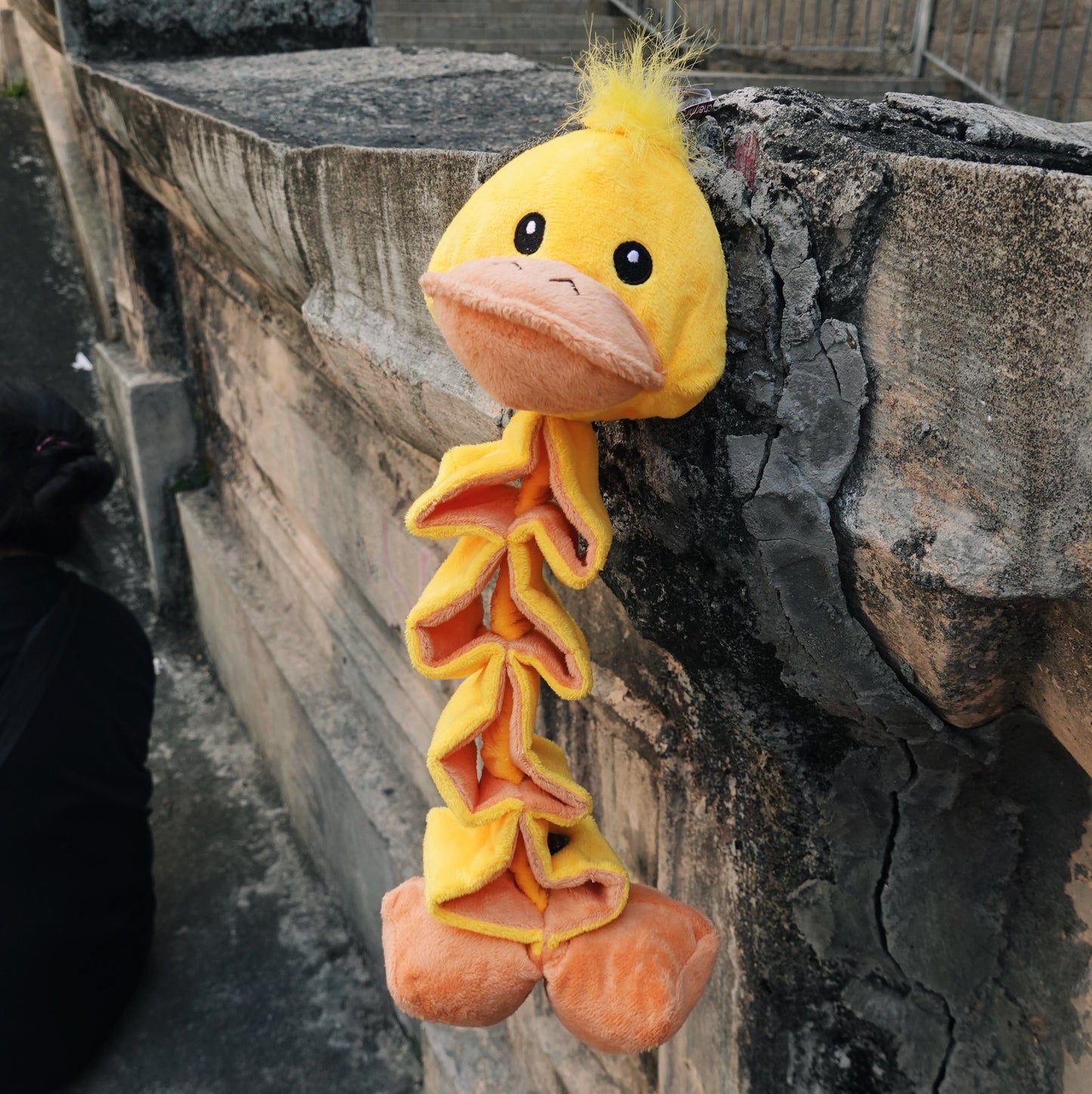 Zigzag Duck