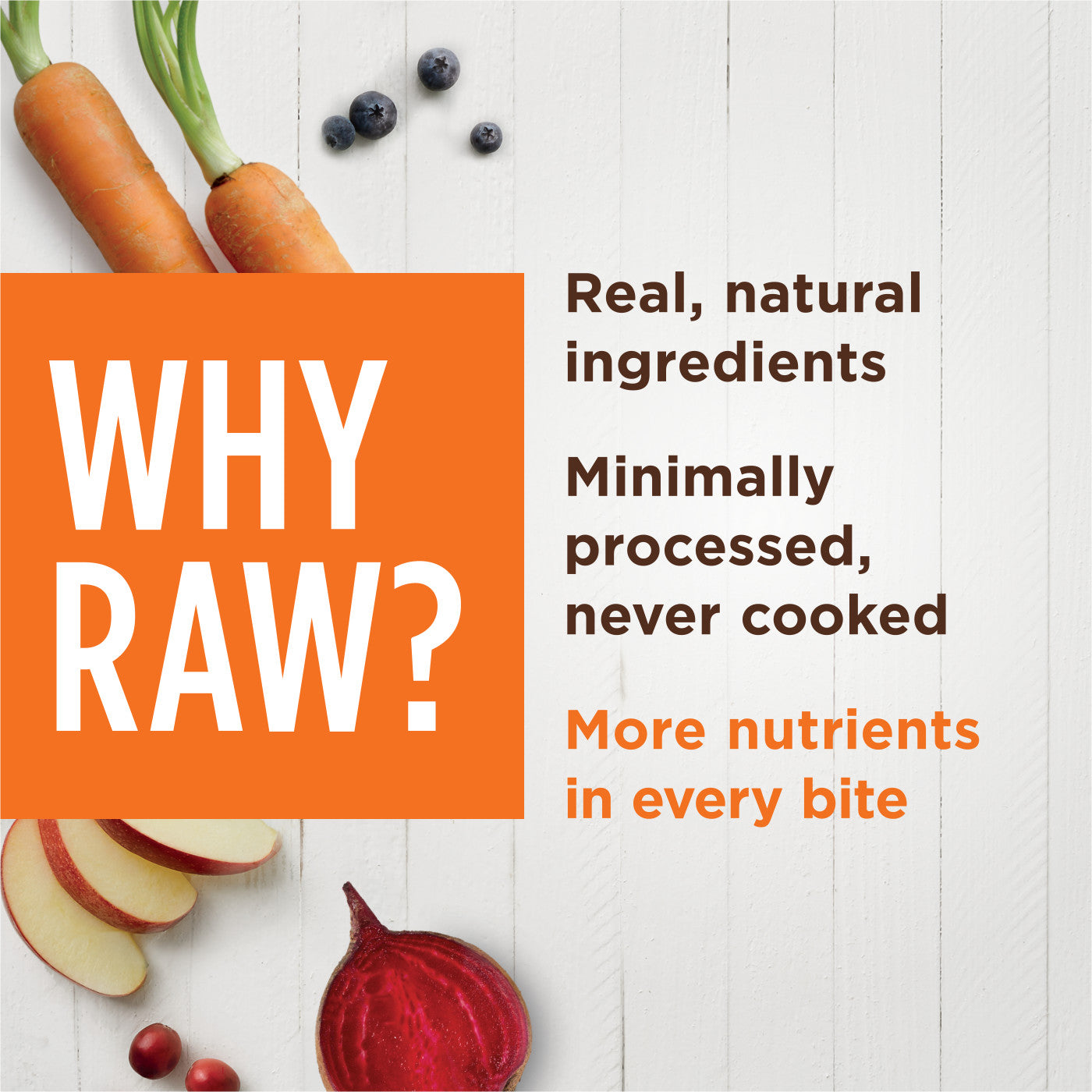 Instinct - Dog Food Raw Boost Mixers -Mobility Support 5.5oz