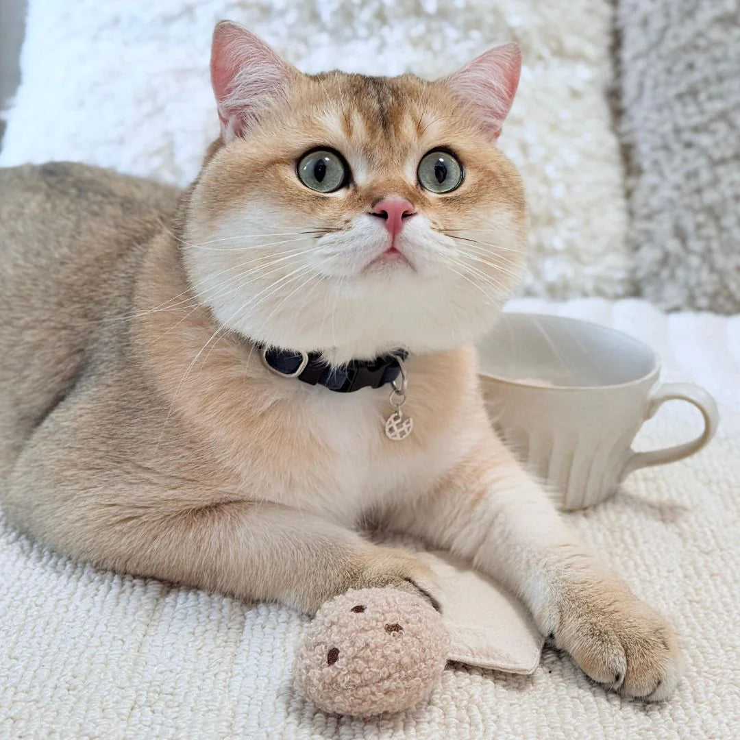 TEA TIME cat nips toy